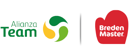 Logo Alianza Team